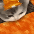 custom_smilies